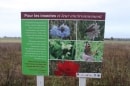 près de Chars